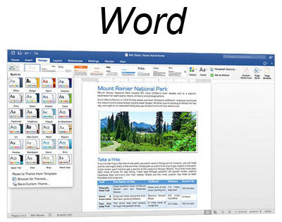 Microsoft Office 2016 Home Business W6F-00479 p/ Mac