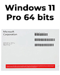 Windows 11 Professional 64bits Portugus COEM FQC-10520#10