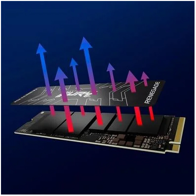 SSD 1TB Kingston Fury Renegade M2 7300MBps SFYRS/1000G